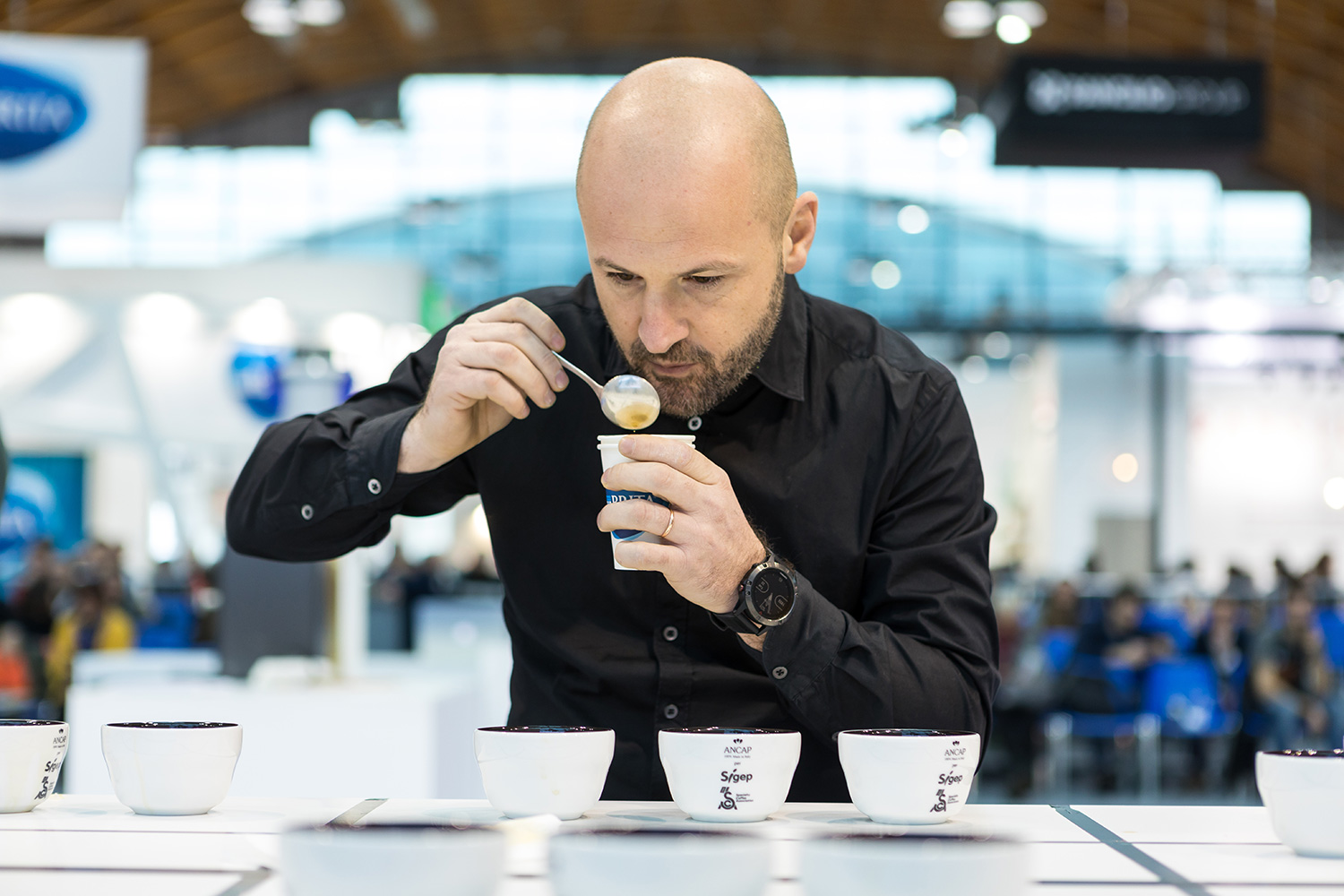 Developing Your Coffee Palate with Three Cup Tasters Champions