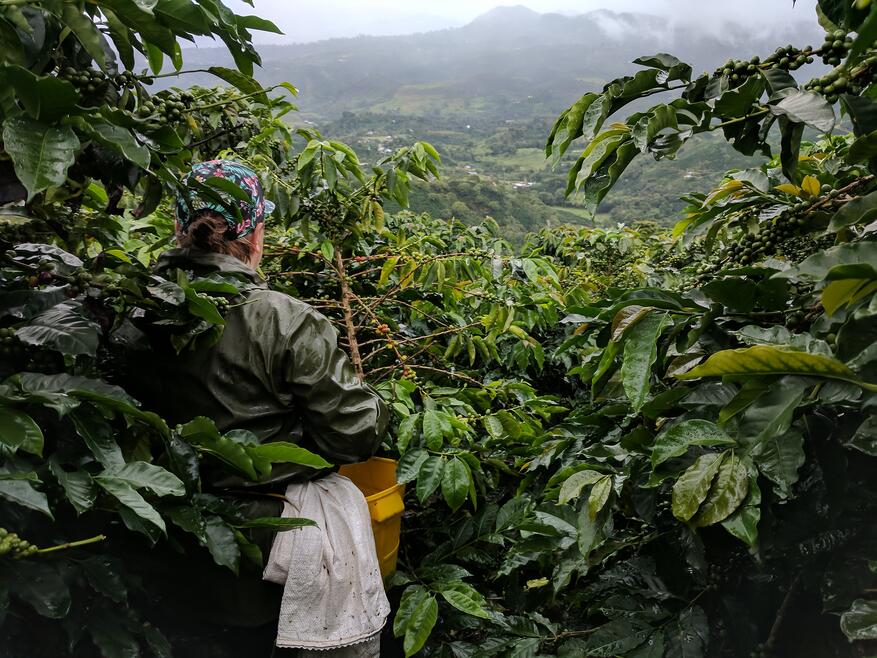 Barista & Farmer merges Origin Trip and Coffee Competition into a Remarkable Experience