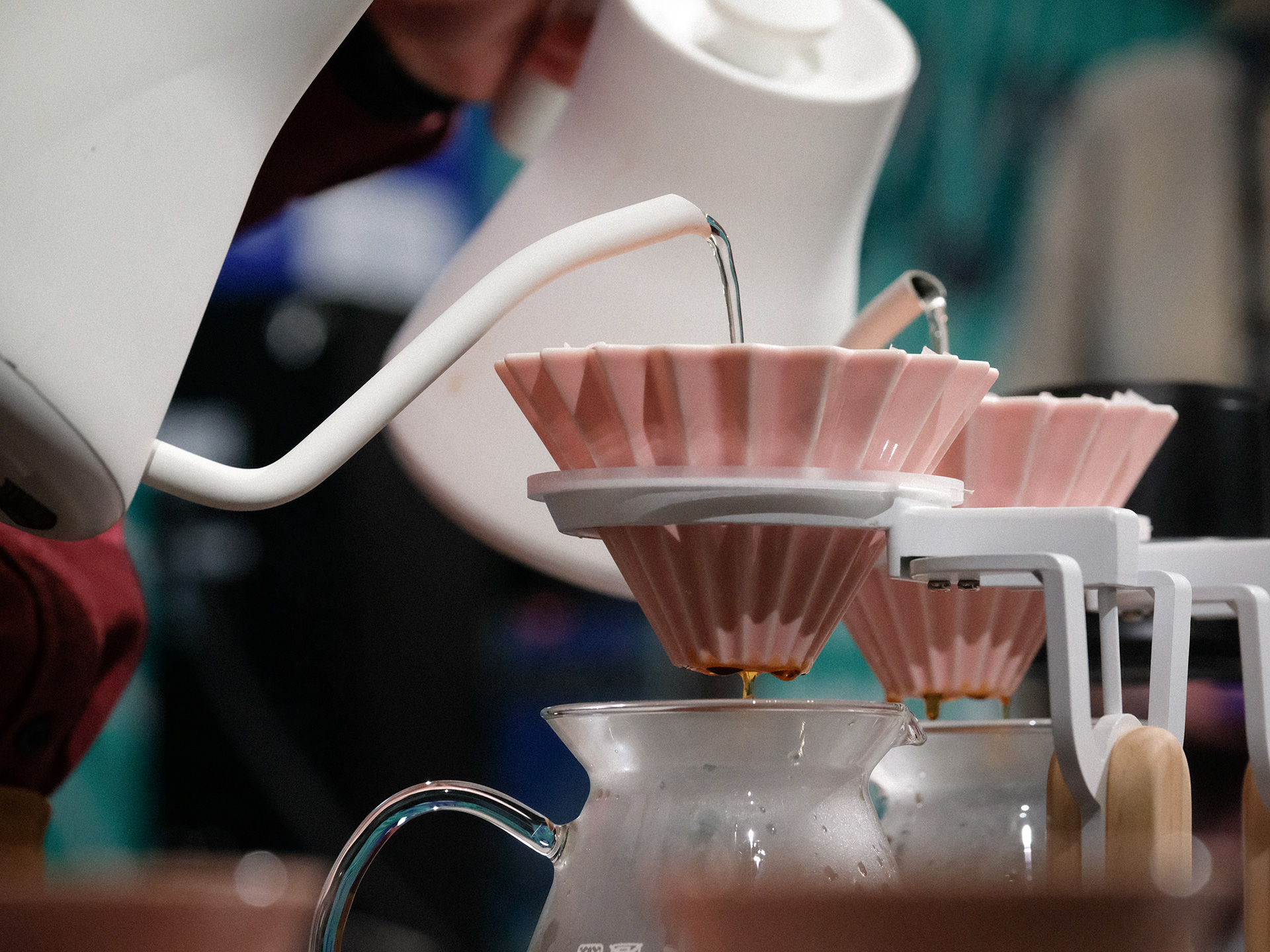 Brewers cup outlet